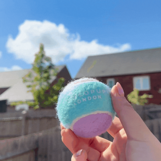 Tennis Ball - Bubblegum
