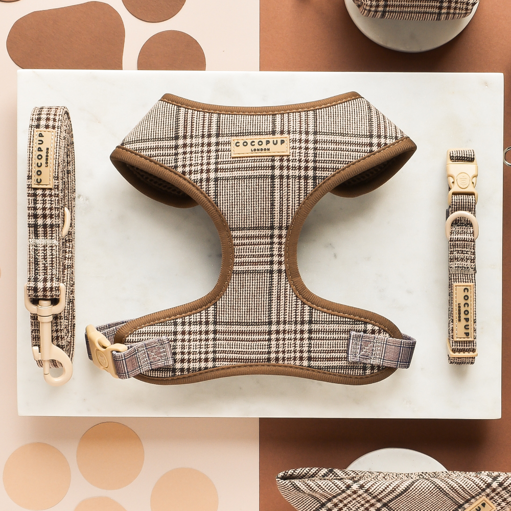 Pup Plaid Adjustable Neck Harness: XS