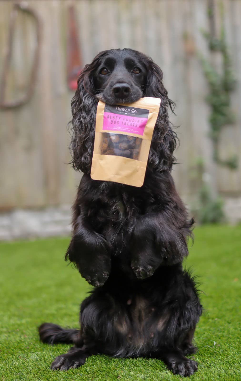 Black Pudding Dog Treat Bag