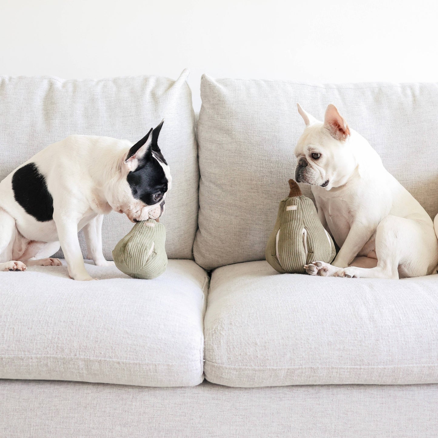 BUTTERNUT//ENRICHMENT DOG TOY: S