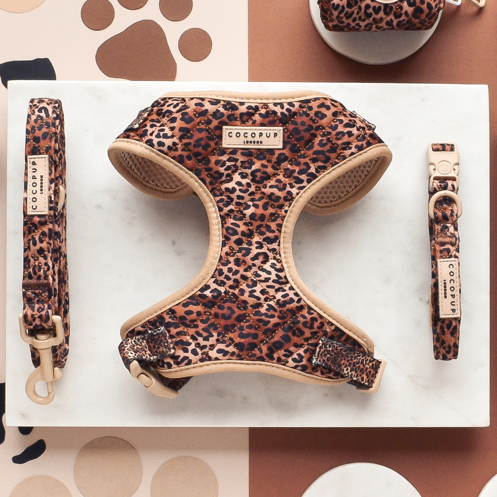 Quilted Leopard Pup Collar: XS