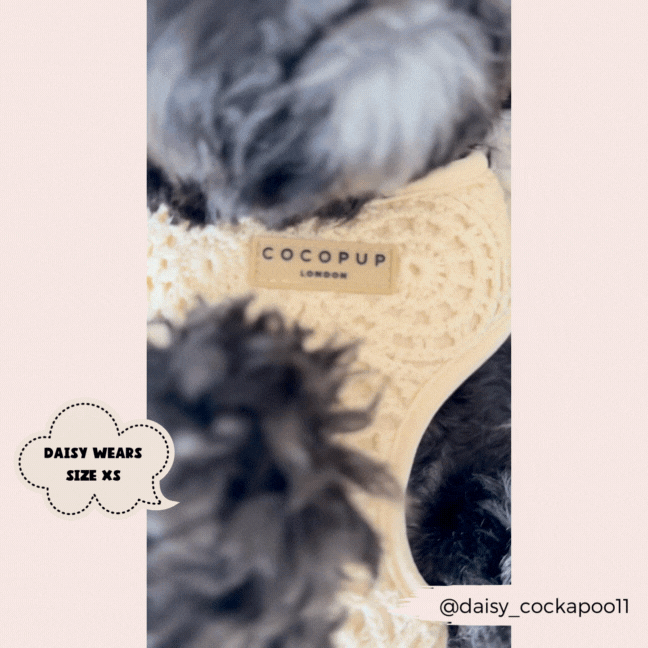 Festival Crochet Adjustable Neck Harness: S