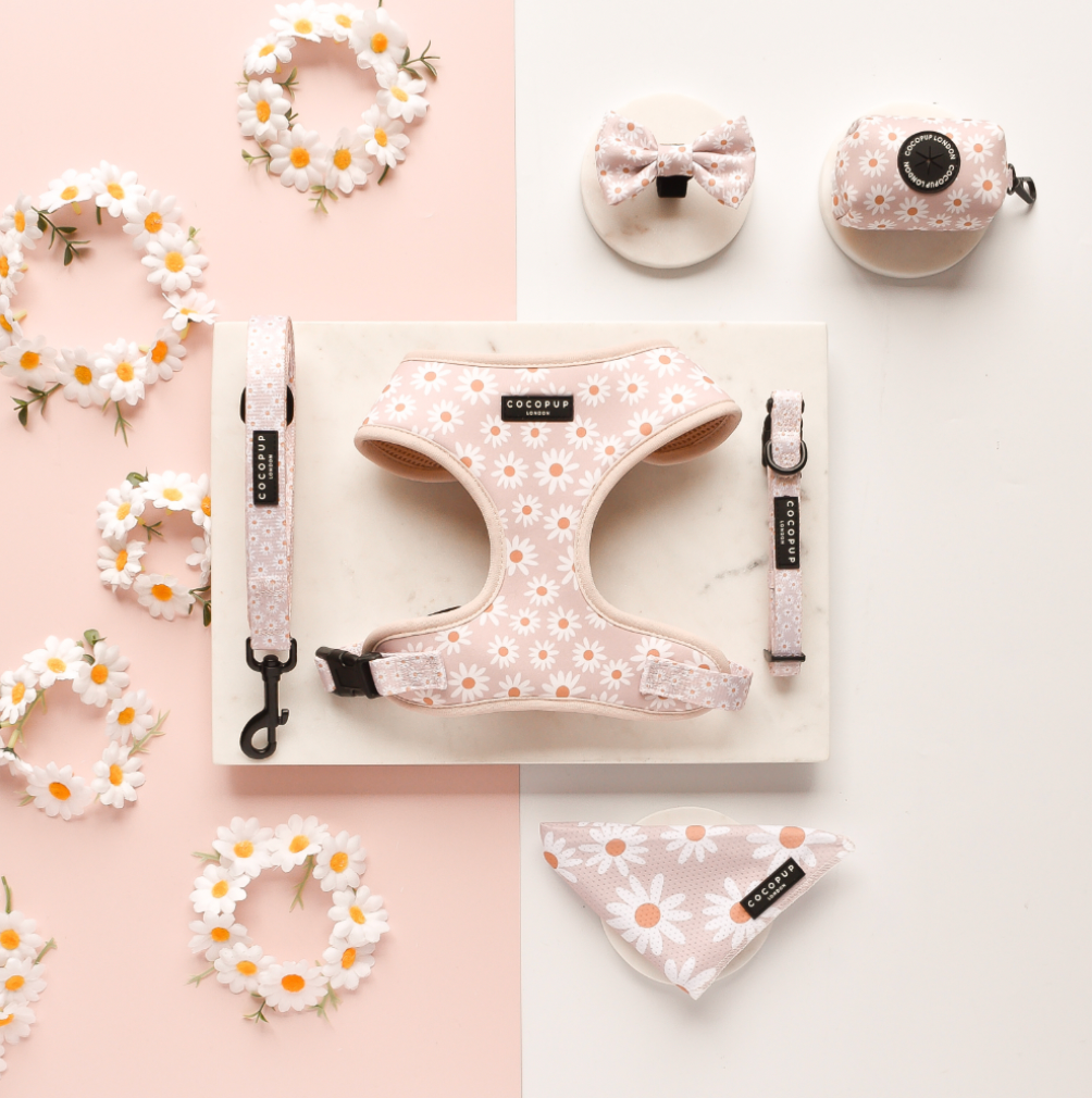 Daisy Chain Adjustable Neck Harness: S