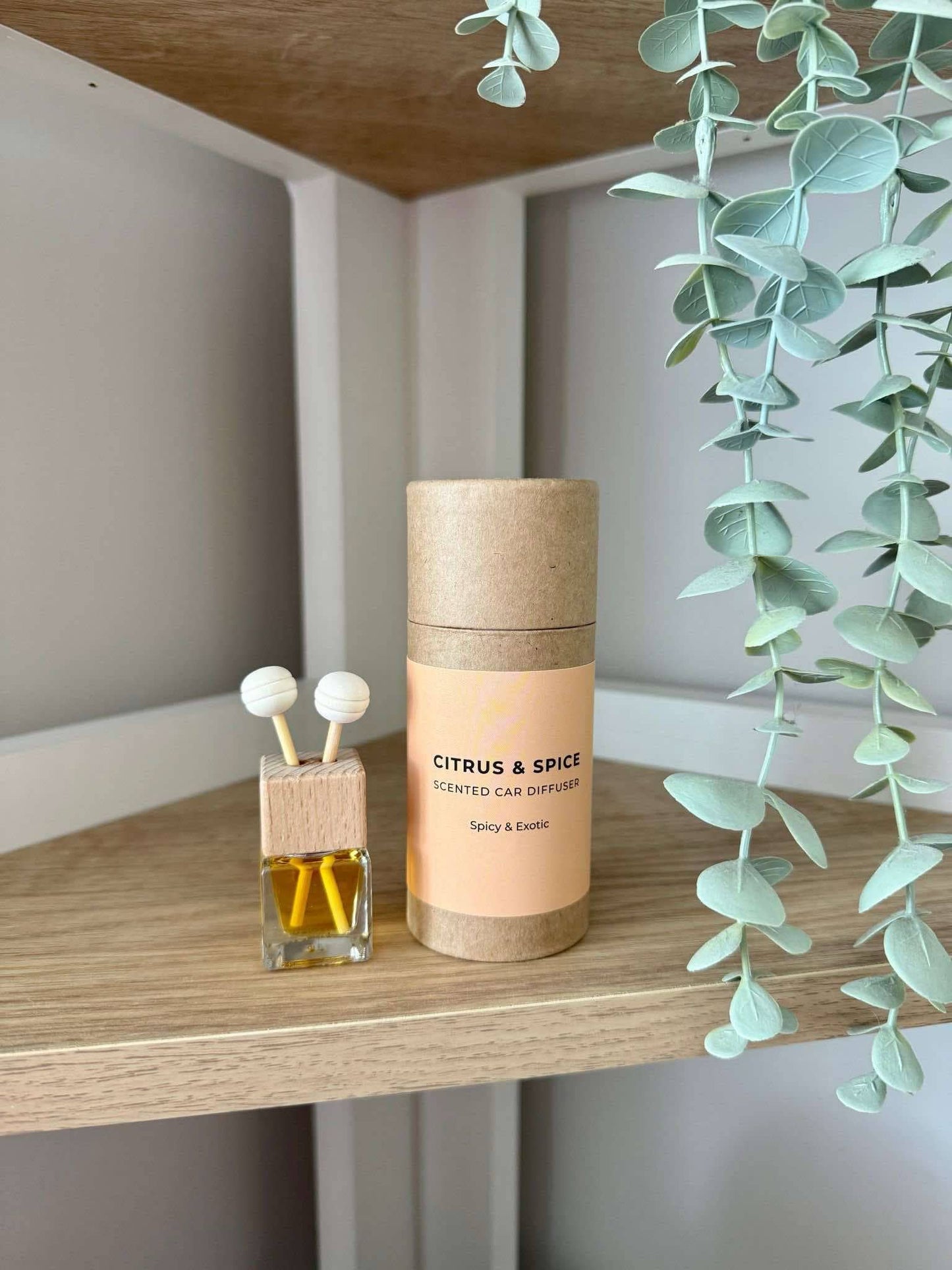 Citrus and Spice Car Diffuser