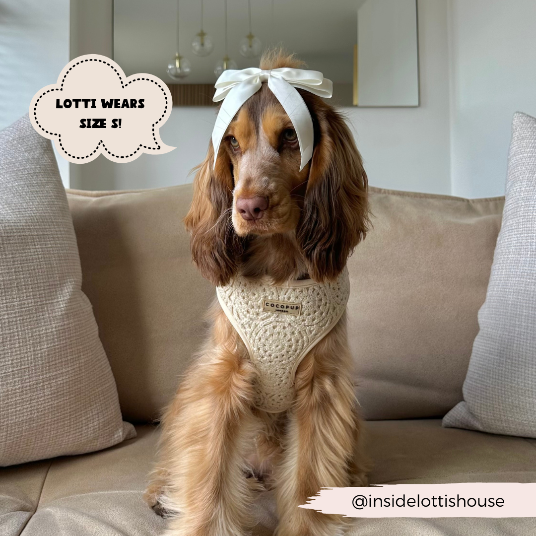 Festival Crochet Adjustable Neck Harness: S
