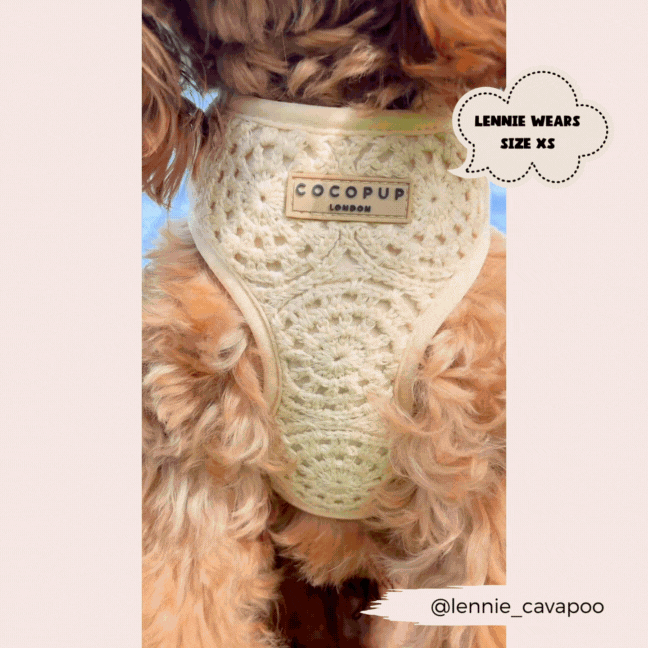 Festival Crochet Adjustable Neck Harness: S