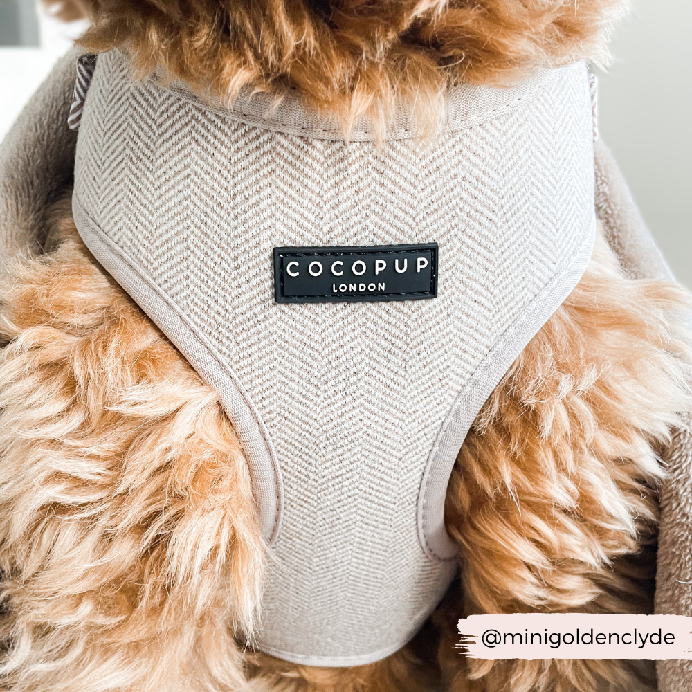 Brown Tweed Adjustable Neck Harness: L