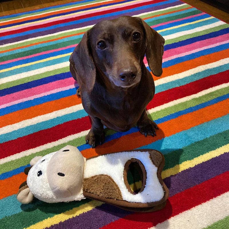 WufWuf Cow Squeaky Plush Tug Dog Toy
