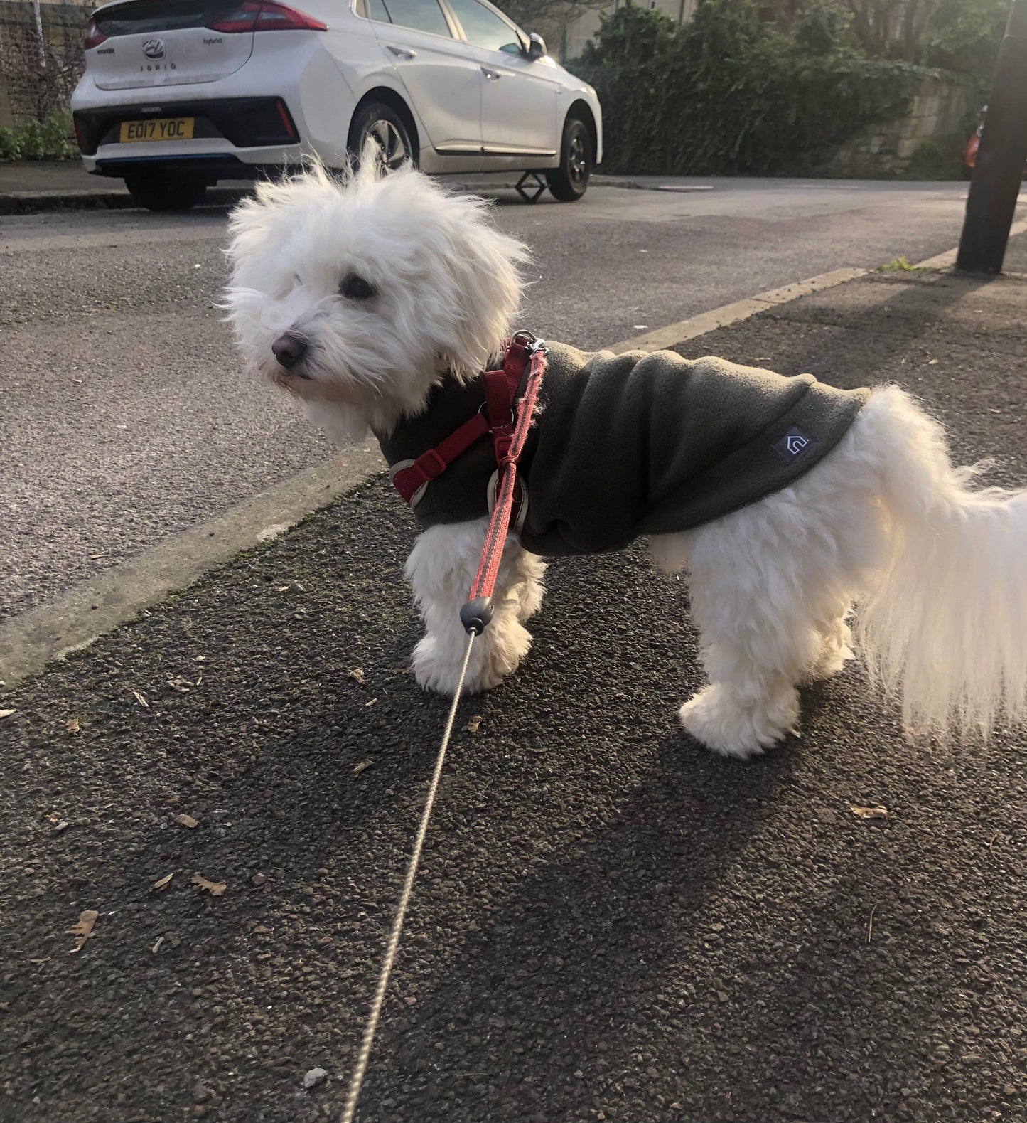 Small Breed Dog Fleece Jumper: Bubblegum Pink / Small