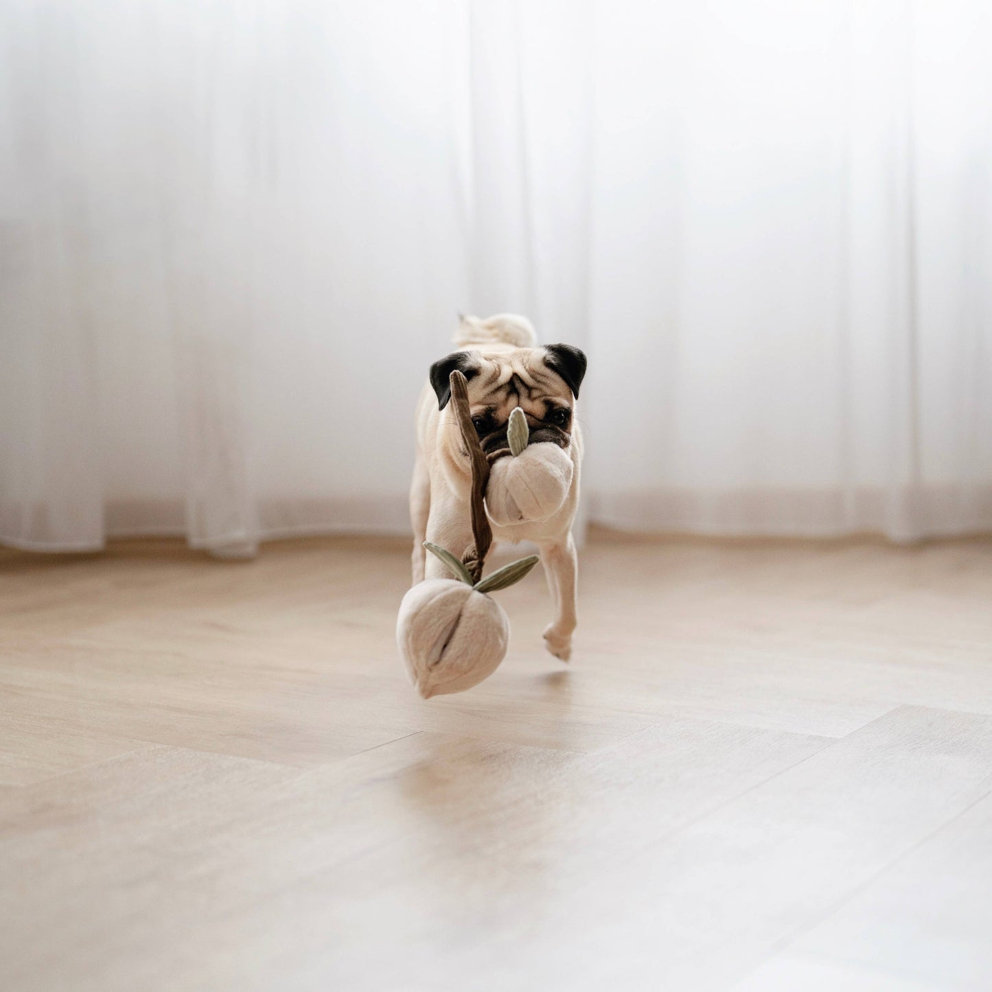 MOMO//ENRICHMENT DOG TOY