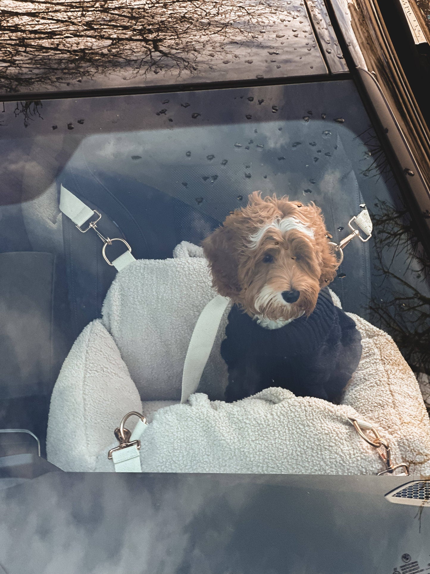 The Cosy Car Seat: Large