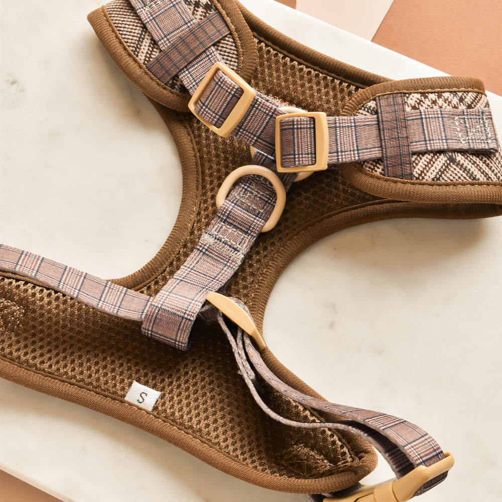 Pup Plaid Adjustable Neck Harness: XS