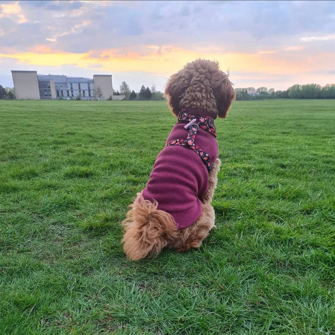 Small Breed Dog Fleece Jumper: Bubblegum Pink / Small