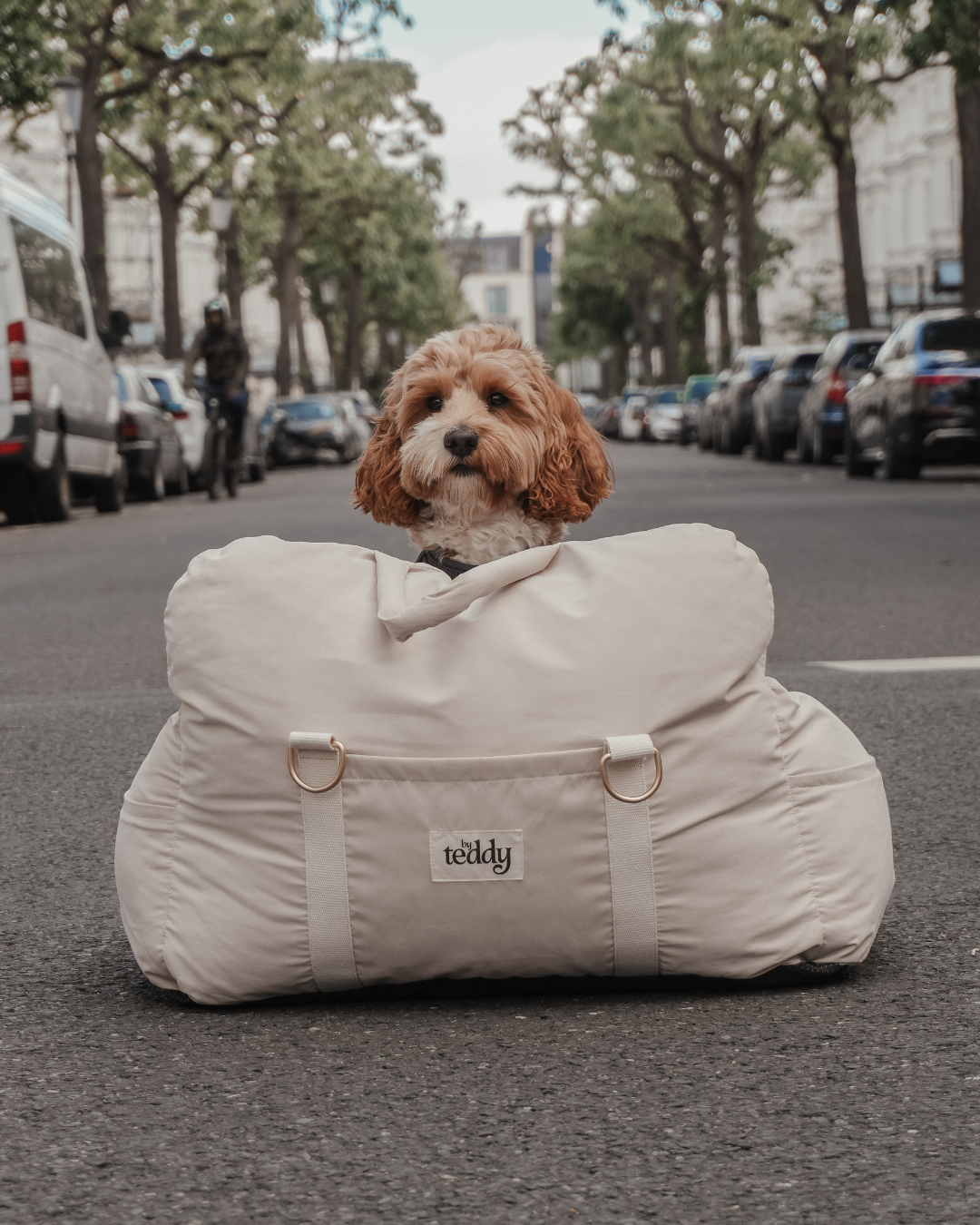 The Puffer Car Seat