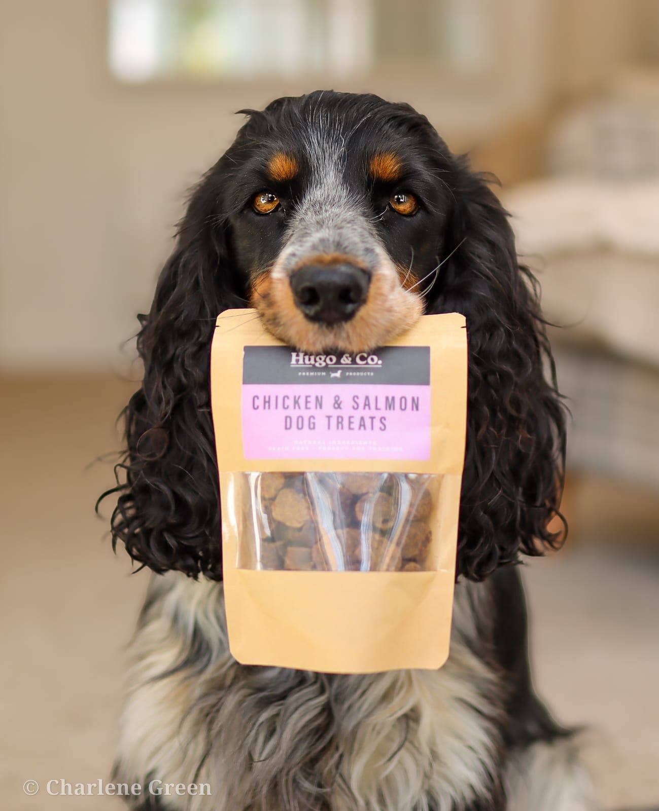Salmon & Chicken Dog Treats