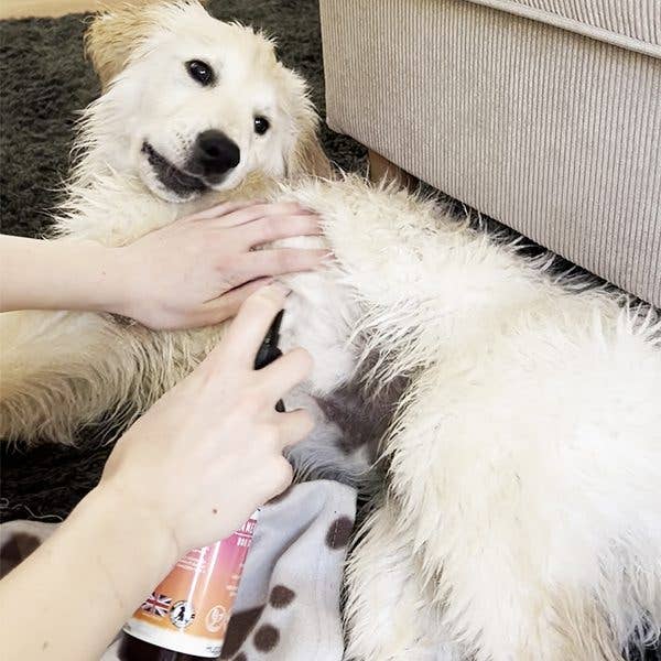 HugglePets Bubbly Tails Dog Cologne: Baby Powder