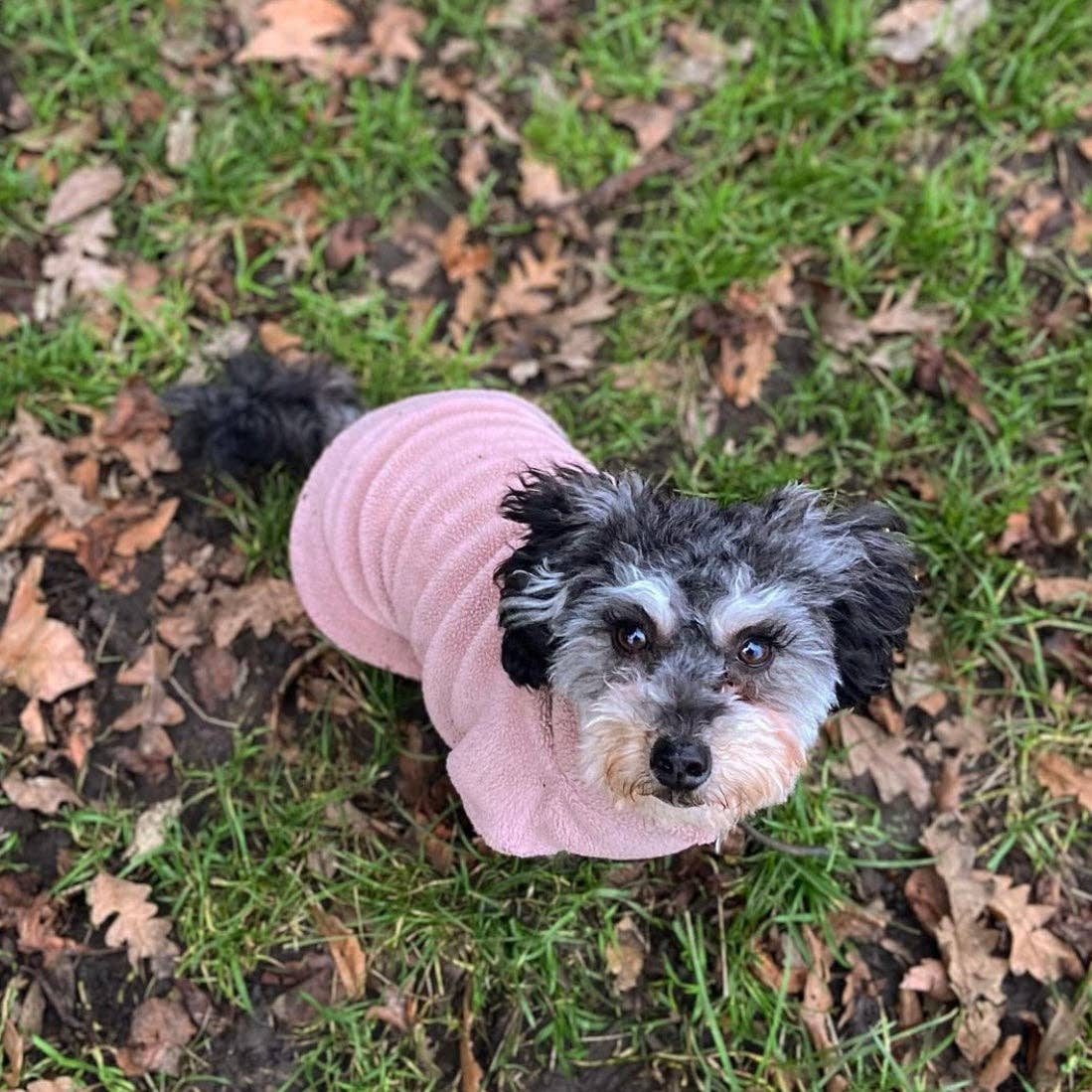 Small Breed Dog Fleece Jumper: Bubblegum Pink / Small