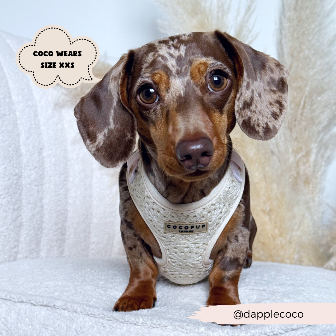 Festival Crochet Adjustable Neck Harness: S