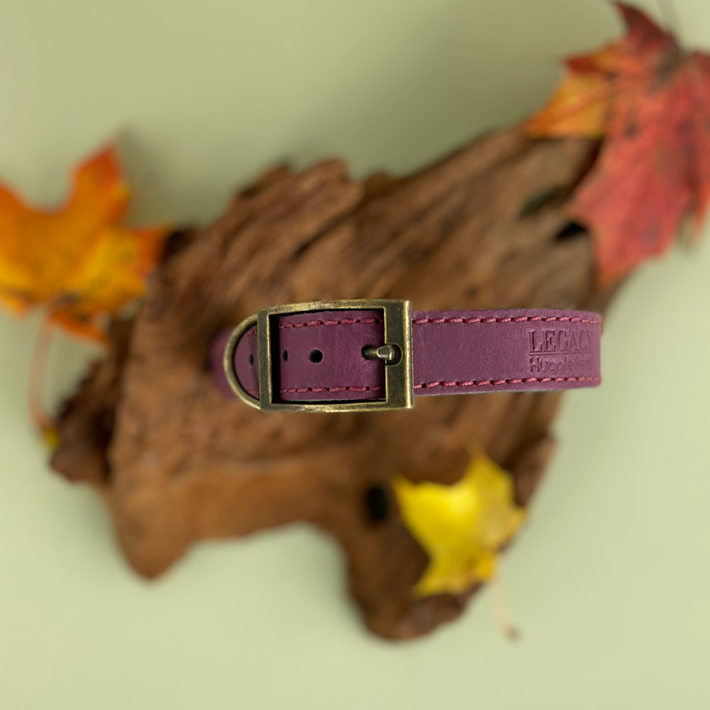 HugglePets Legacy Leather Dog Collar: Khaki / Medium