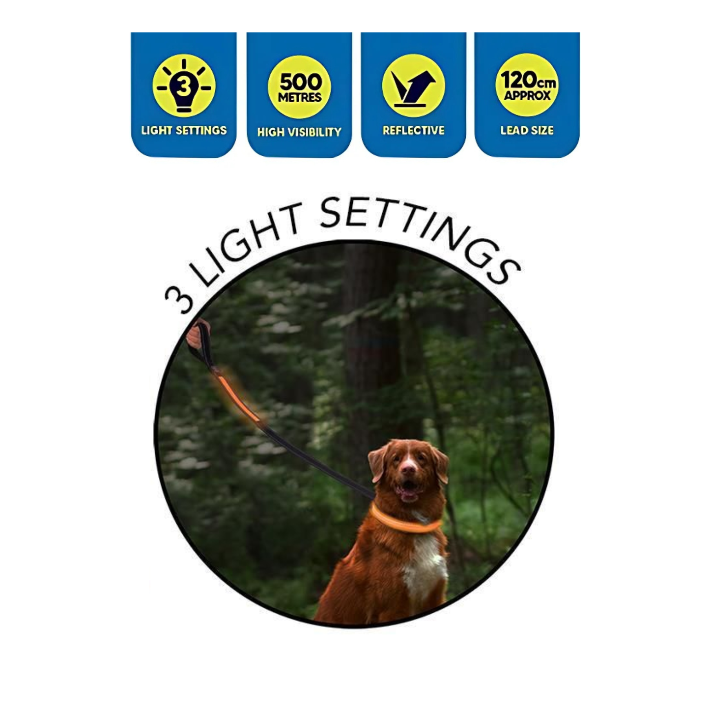WufWuf Smart Choice LED Flashing Dog Lead 120cm: Blue with white Led