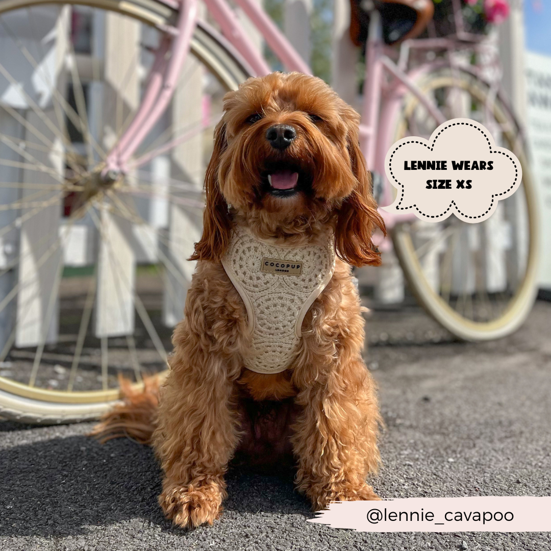 Festival Crochet Adjustable Neck Harness: S