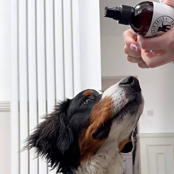 HugglePets Bubbly Tails Dog Cologne: Baby Powder