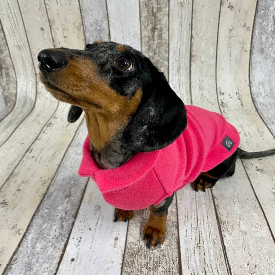 Dachshund Fleece Jumper: Olive / Puppy