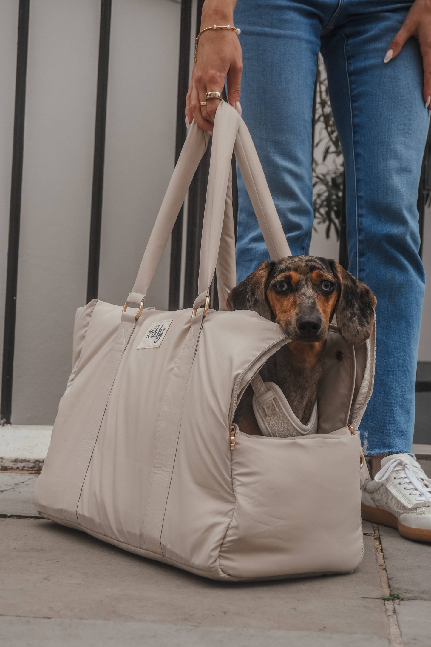 Hazelnut┃The Puffer Carrier