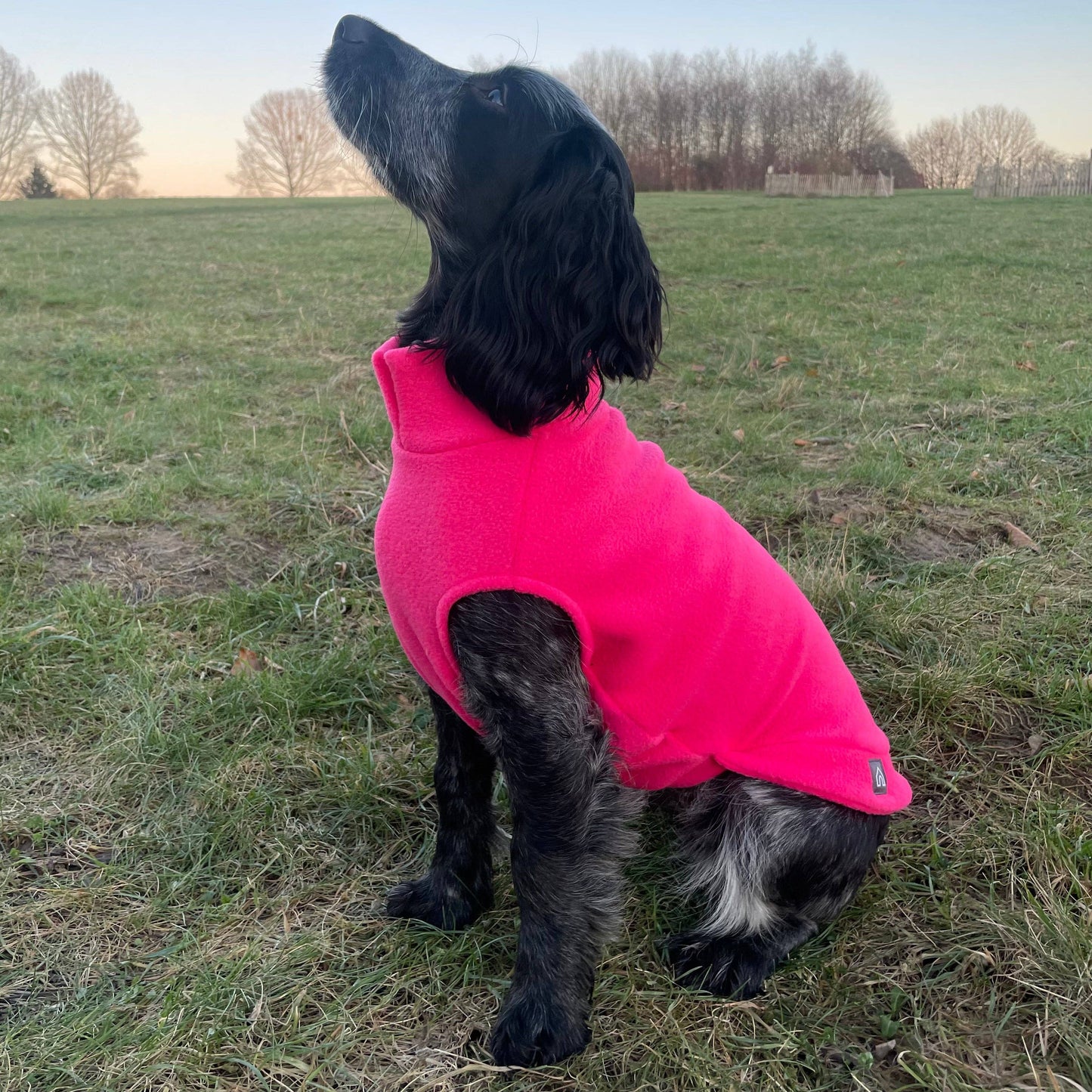 Medium Breed Dog Fleece Jumper: Olive / Medium