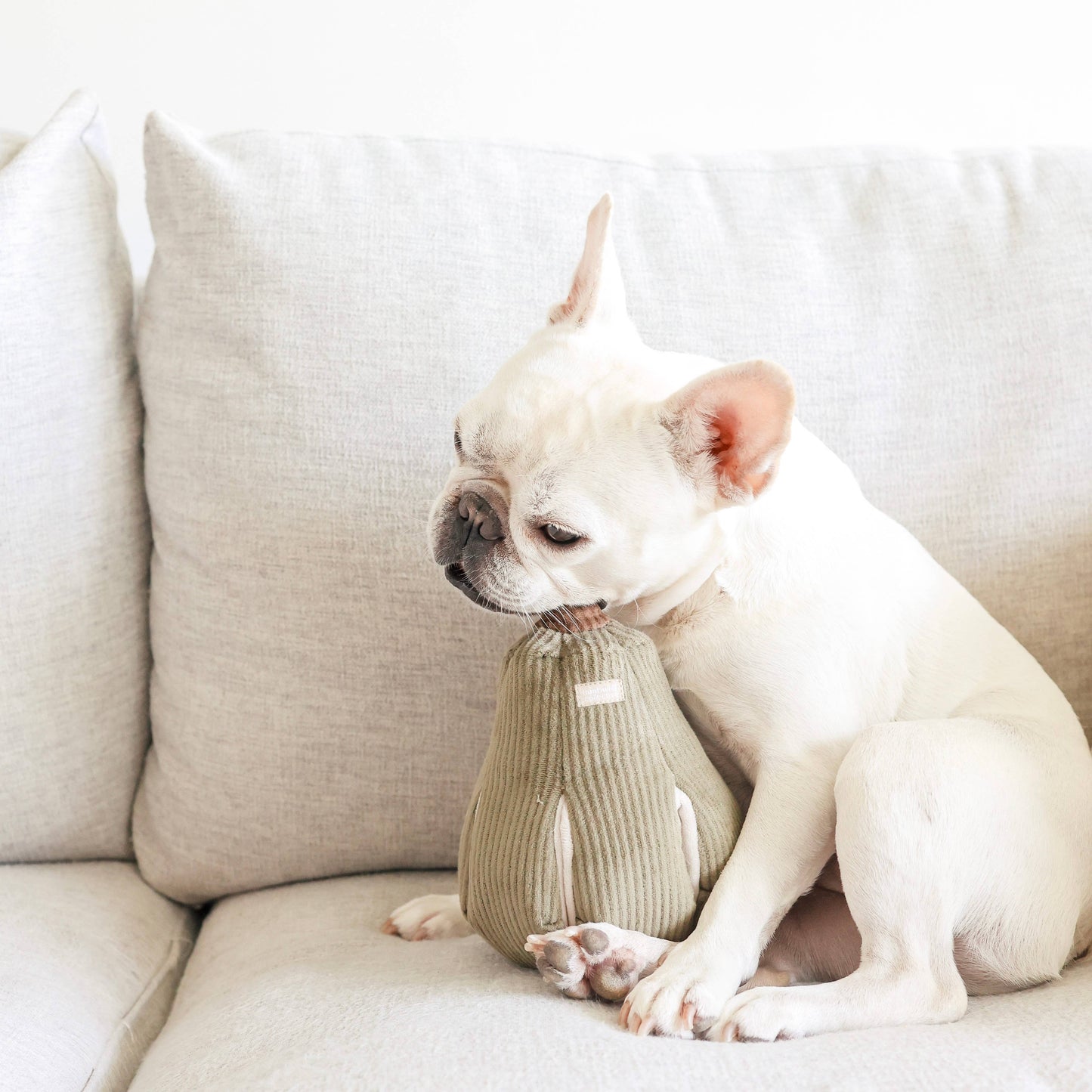 BUTTERNUT//ENRICHMENT DOG TOY: S