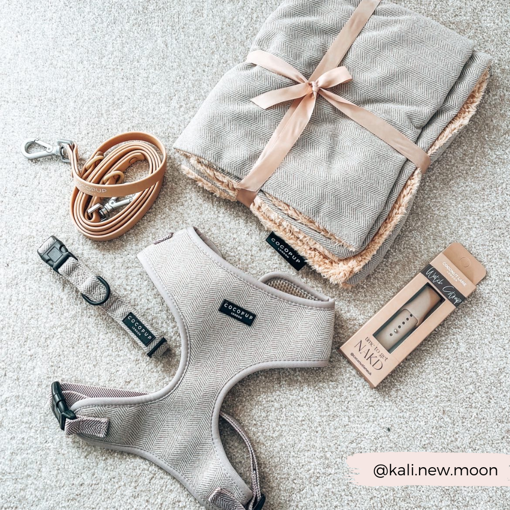 Sage Tweed Adjustable Neck Harness: XXS