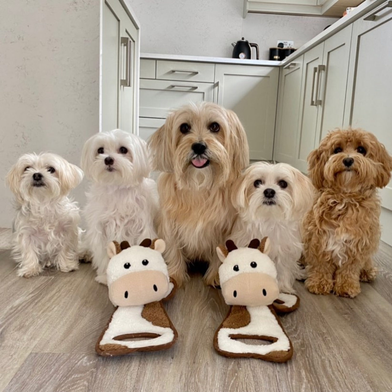 WufWuf Cow Squeaky Plush Tug Dog Toy
