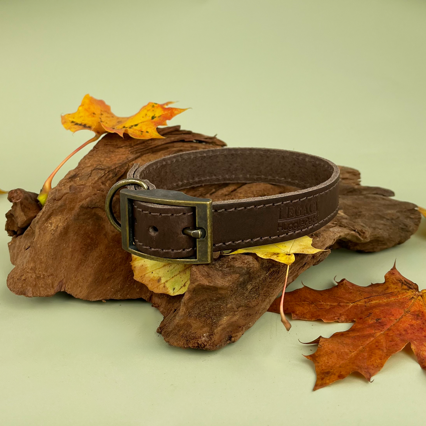 HugglePets Legacy Leather Dog Collar: Khaki / Medium
