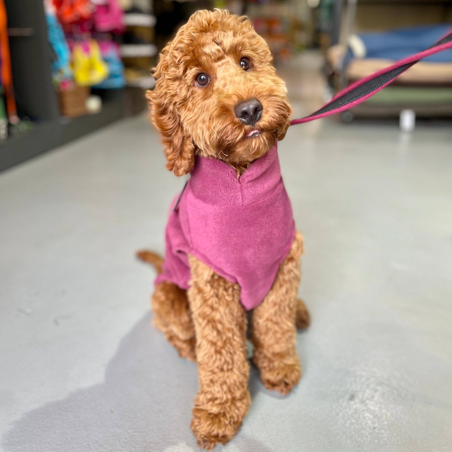 Medium Breed Dog Fleece Jumper: Olive / Medium