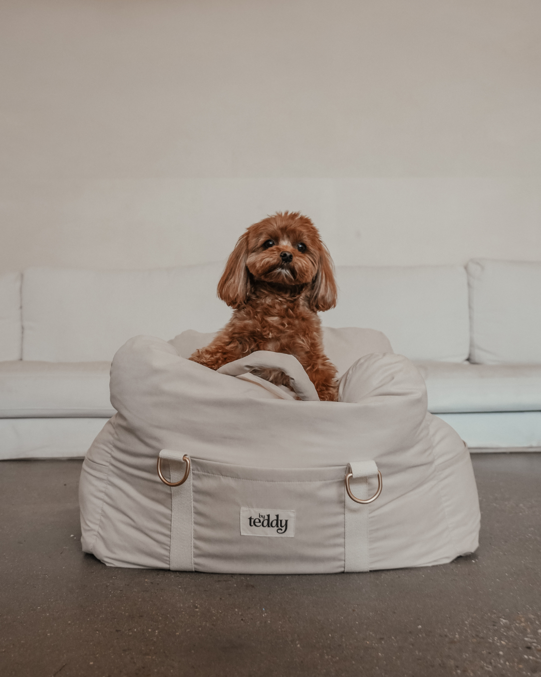 The Puffer Car Seat
