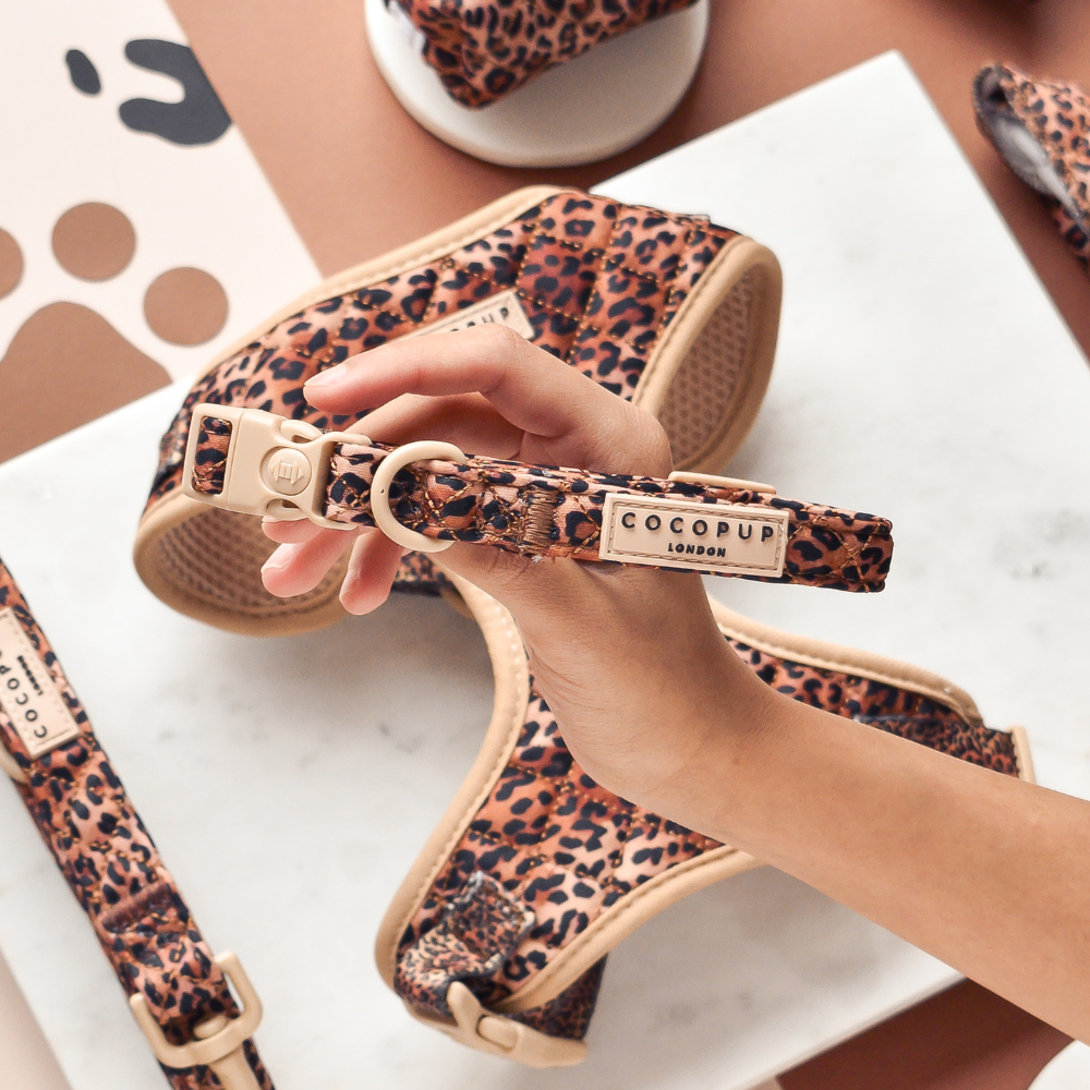 Quilted Leopard Pup Collar: XS