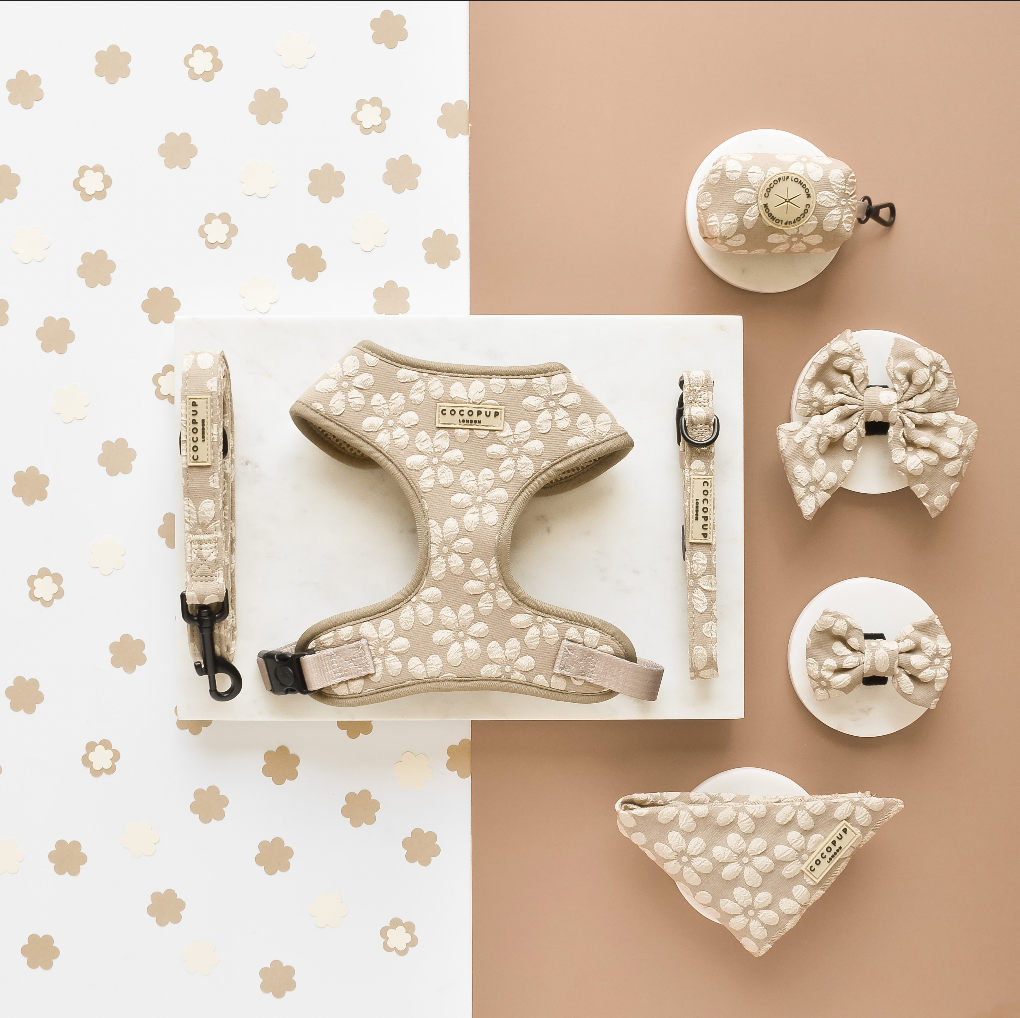 LUXE Collar - Mocha Flower: XS