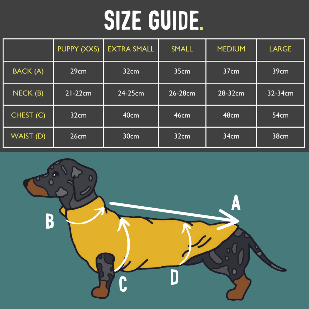 Summer T-Shirts for Dachshunds: Leopard Print / Large