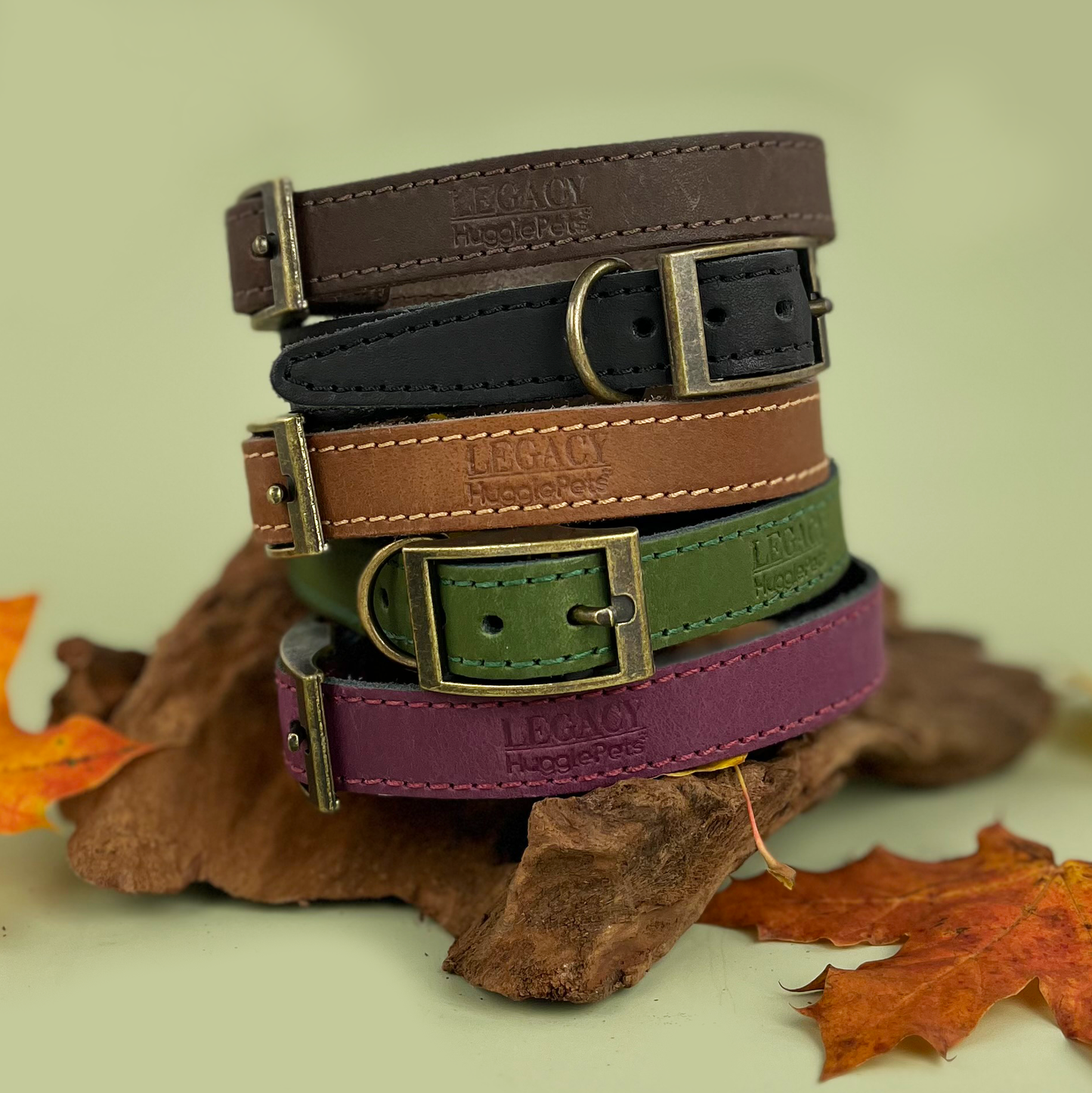 HugglePets Legacy Leather Dog Collar: Khaki / Medium