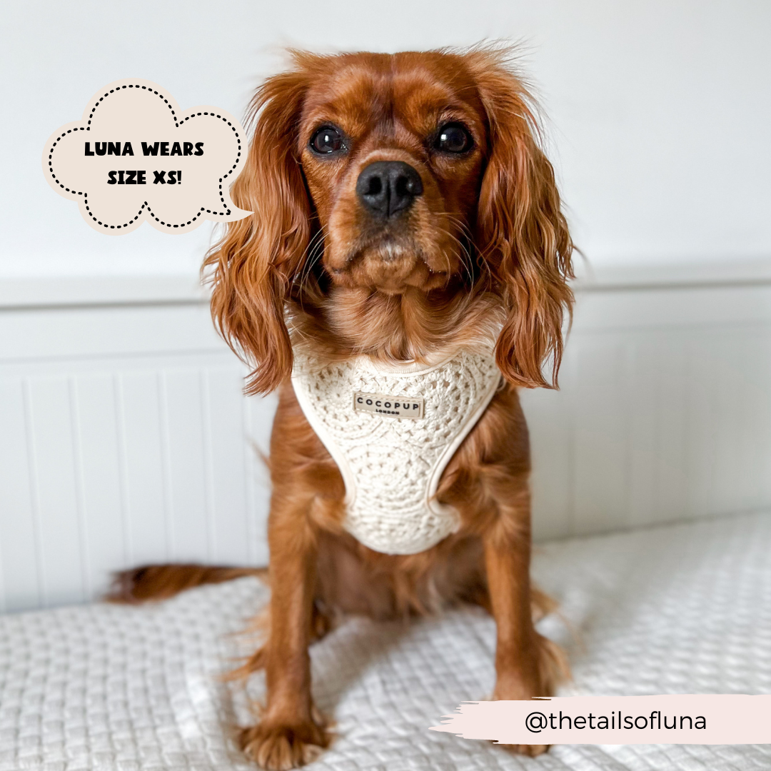 Festival Crochet Adjustable Neck Harness: S
