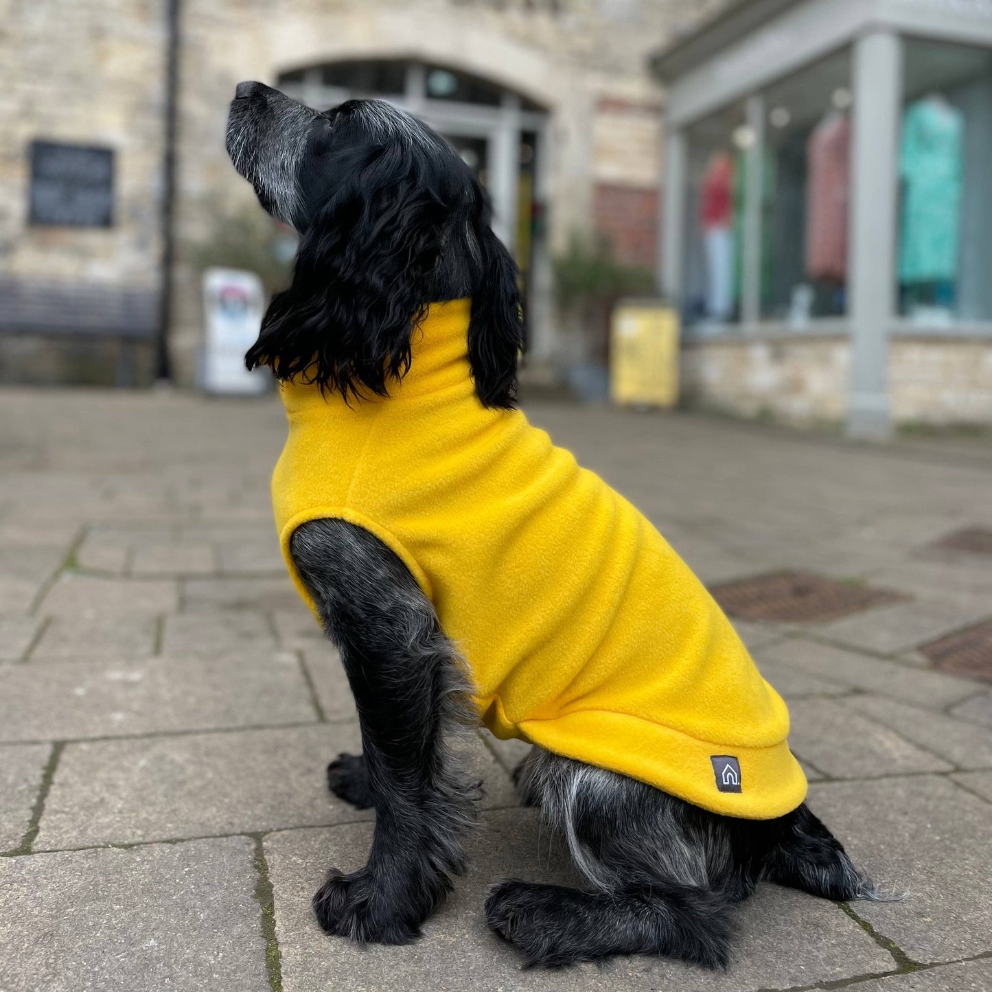Medium Breed Dog Fleece Jumper: Olive / Medium