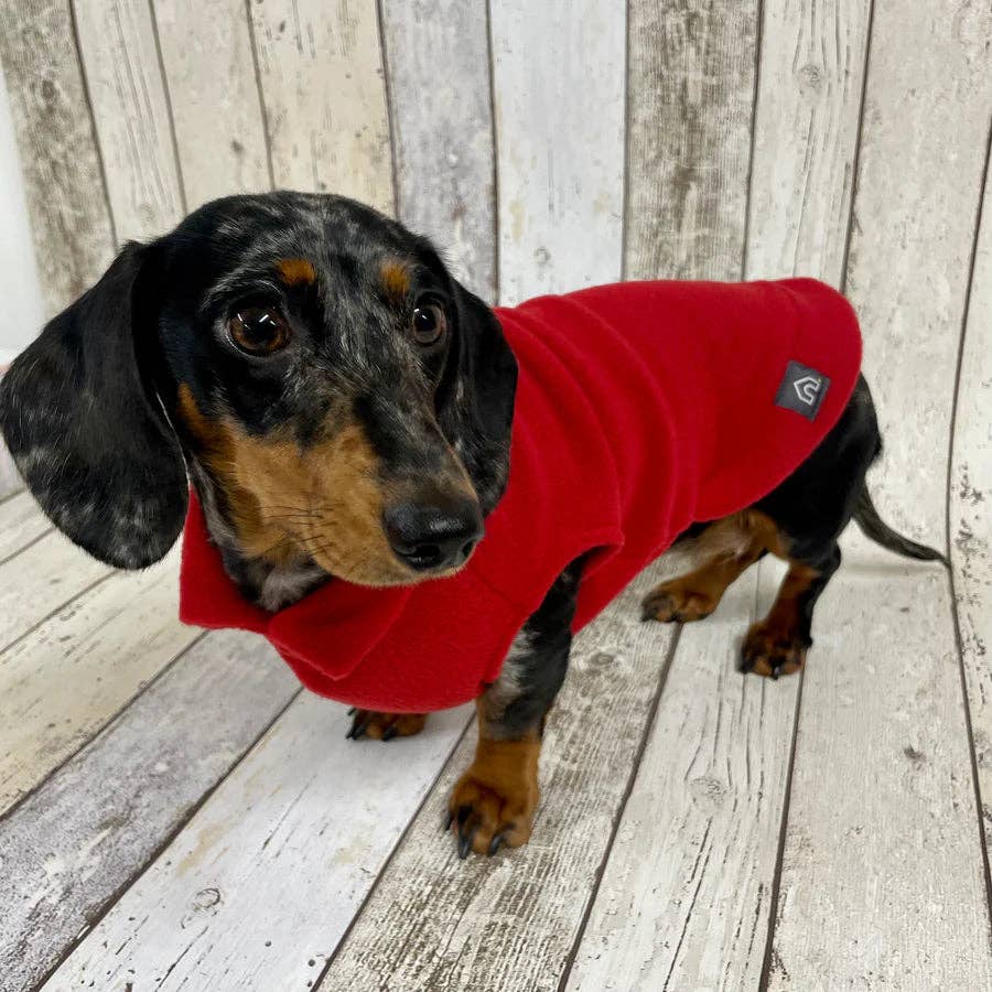 Dachshund Fleece Jumper: Olive / Puppy