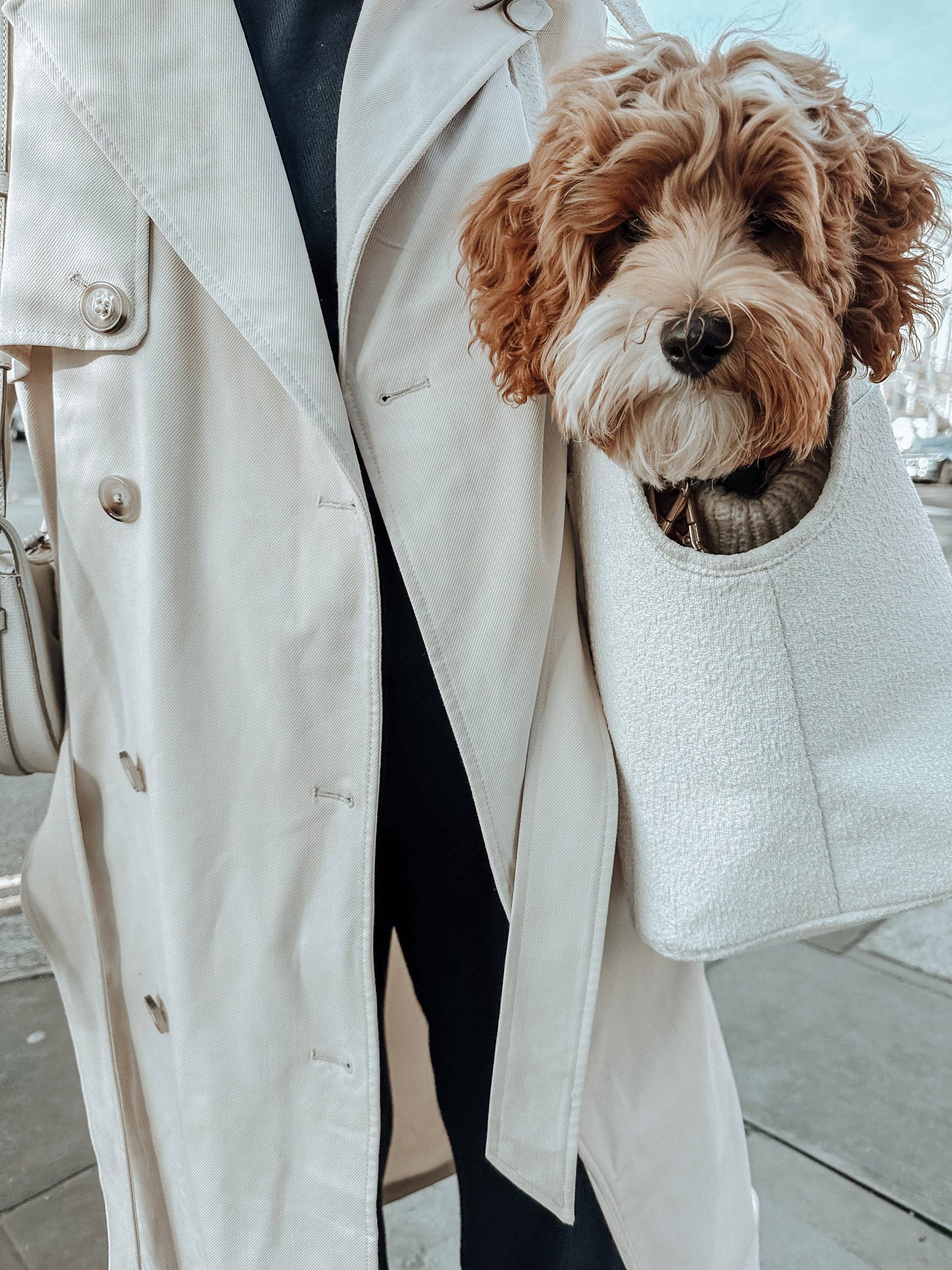 Marshmallow┃The Bouclé Carrier