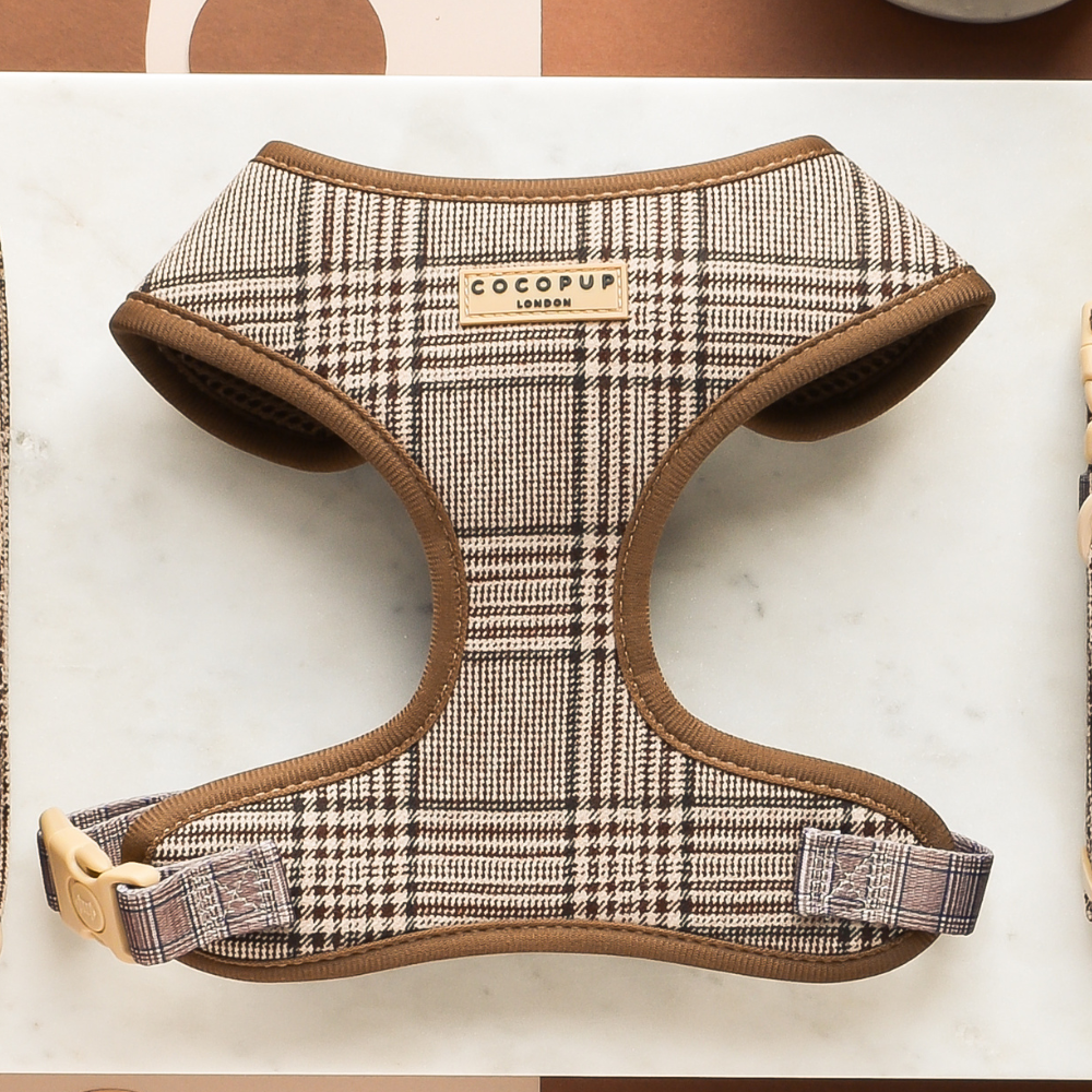 Pup Plaid Adjustable Neck Harness: XS