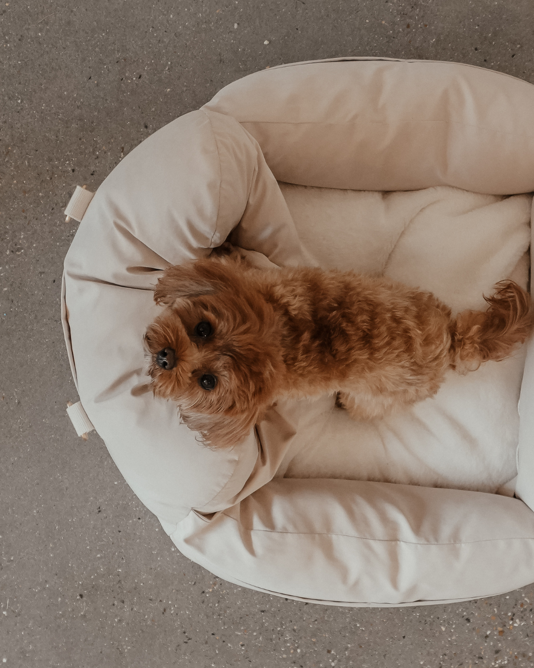 The Puffer Car Seat