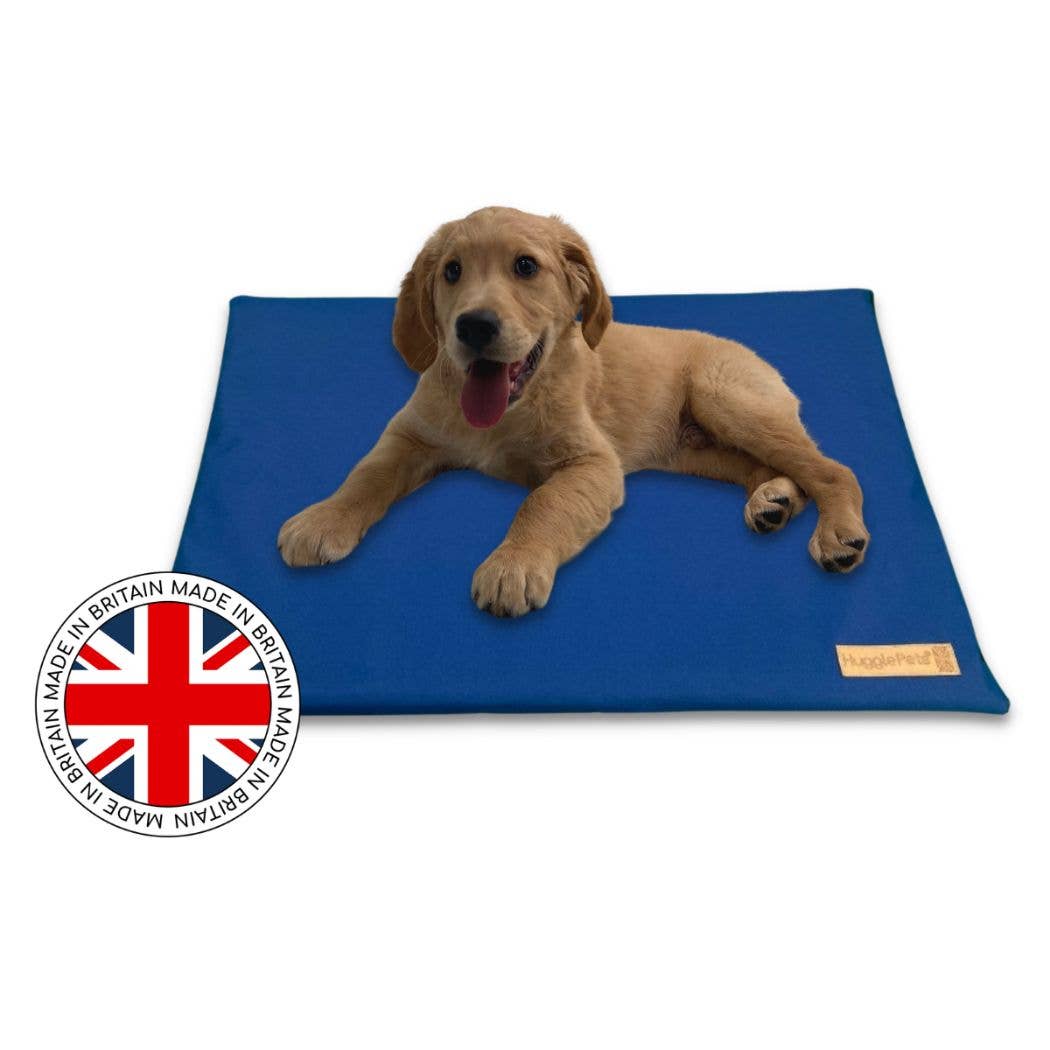 HugglePets Waterproof Dog Mat Cushion: Purple / Large