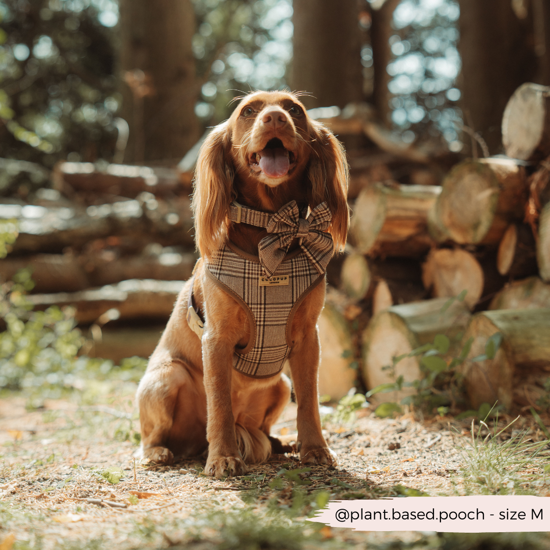 Pup Plaid Adjustable Neck Harness: XS