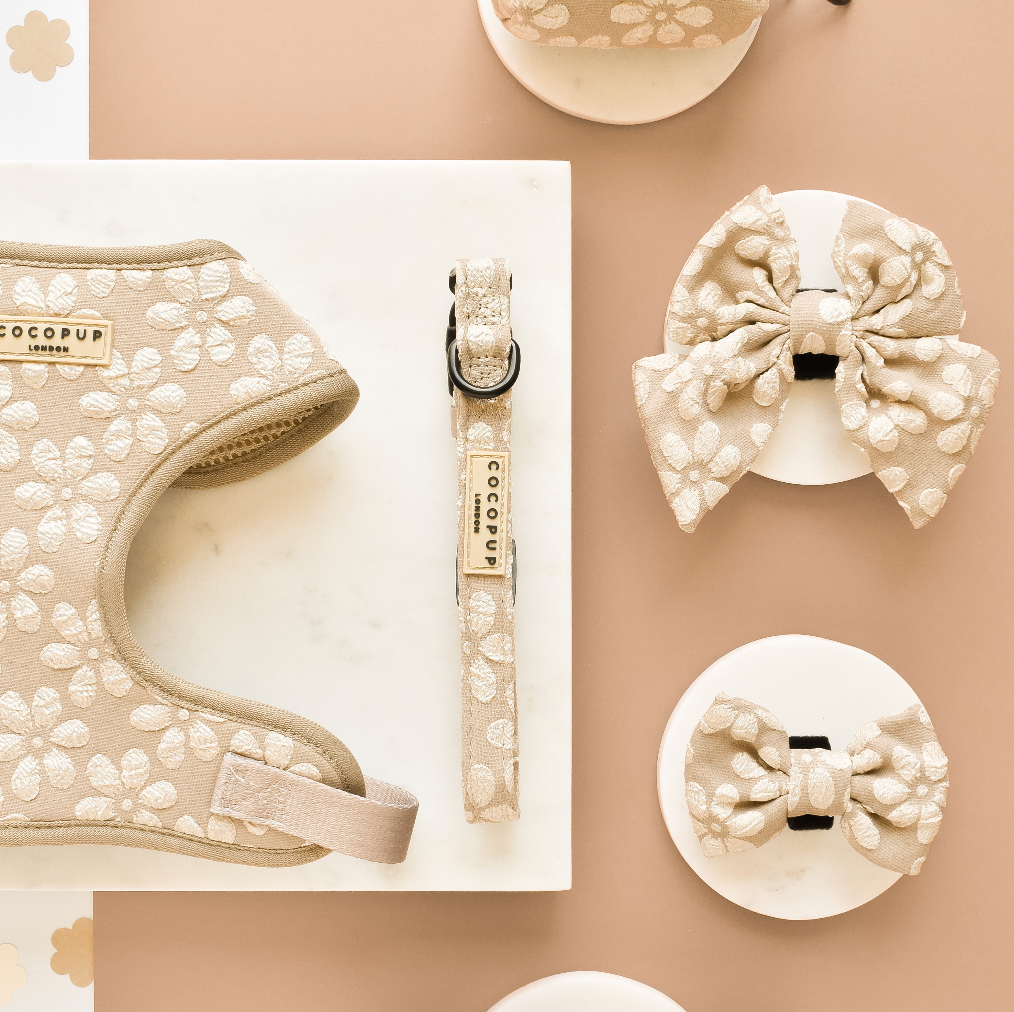LUXE Collar - Mocha Flower: XS