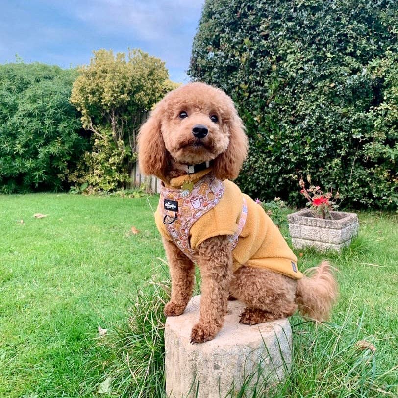 Small Breed Dog Fleece Jumper: Bubblegum Pink / Small