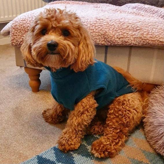 Small Breed Dog Fleece Jumper: Bubblegum Pink / Small